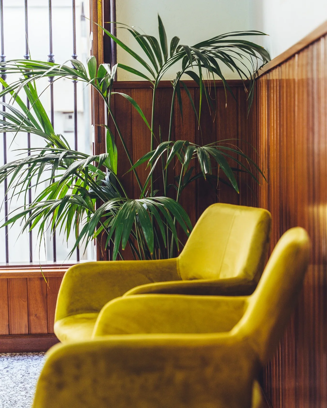 asesoria laboral arrecife romero del mas (2)